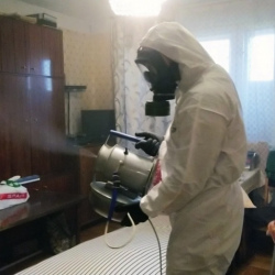 Дезинфекция от клопов в Кизеле