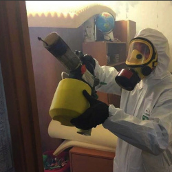 Уничтожение клопов в квартире. Кизел